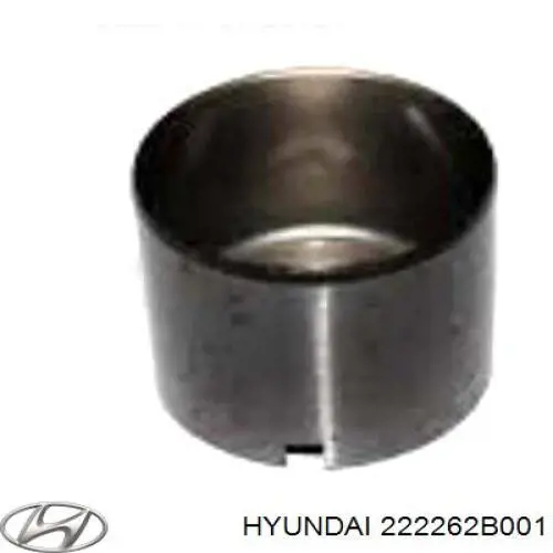 222262B201 Hyundai/Kia Гідрокомпенсатор