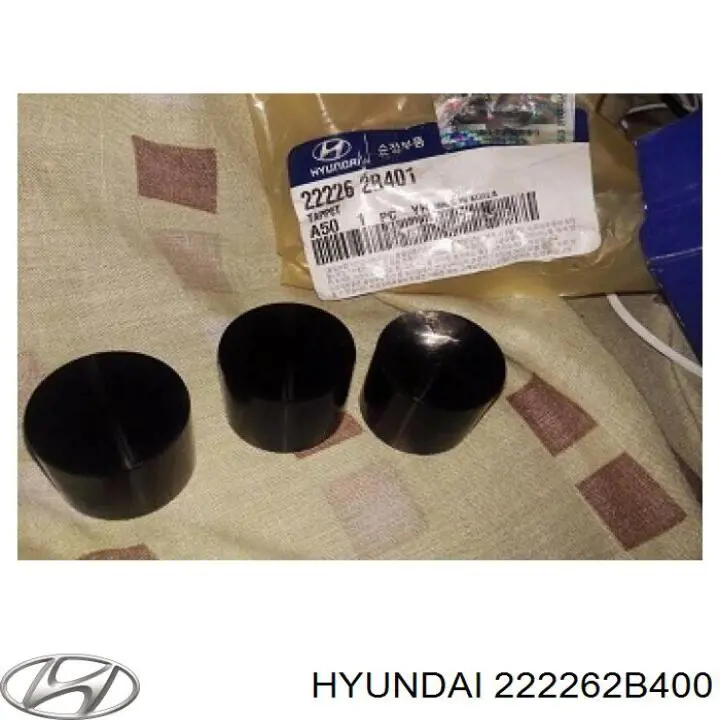 222262B400 Hyundai/Kia Гідрокомпенсатор