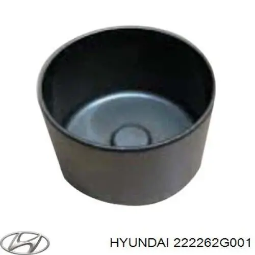 Штовхач клапана гідравлічний Hyundai/Kia 222262G000 ціна, від 3.18 USD