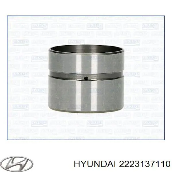 2223137110 Hyundai/Kia гідрокомпенсатор, гідроштовхач, штовхач клапанів