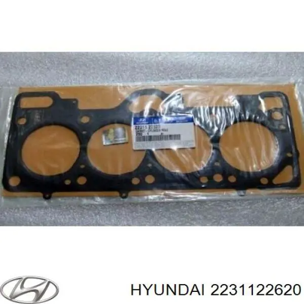 2231122620 Hyundai/Kia прокладка головки блока циліндрів (гбц)