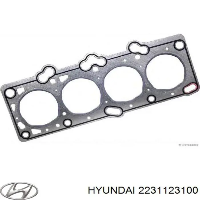 2231123100 Hyundai/Kia прокладка головки блока циліндрів (гбц)