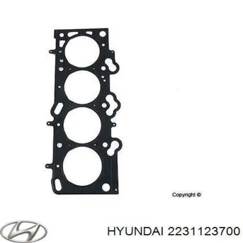 Прокладка ГБЦ Hyundai/Kia 2231123700 ціна, від 19.99 USD