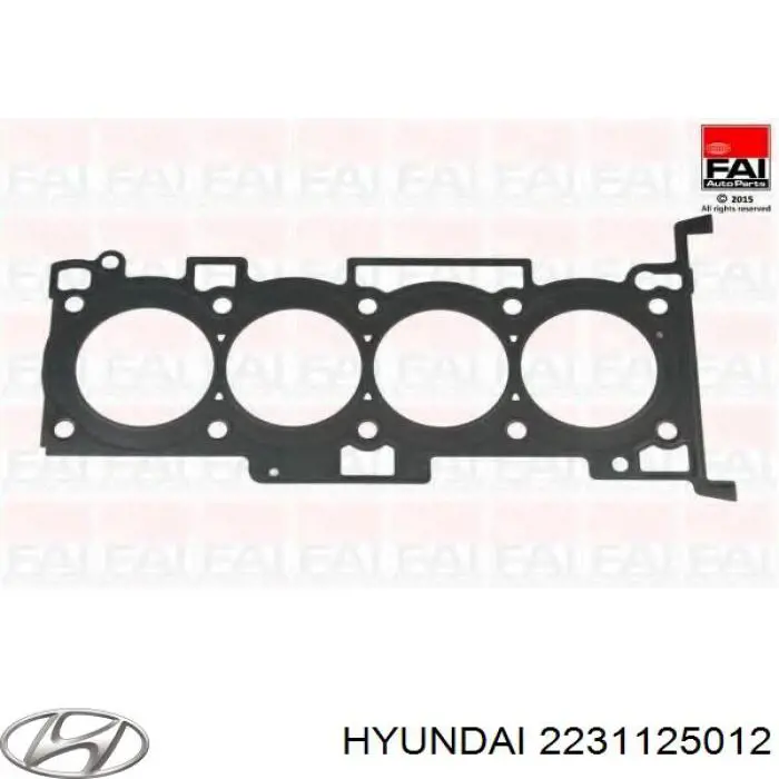 2231125012 Hyundai/Kia прокладка головки блока циліндрів (гбц)