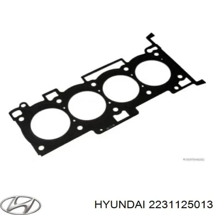 2231125013 Hyundai/Kia прокладка головки блока циліндрів (гбц)