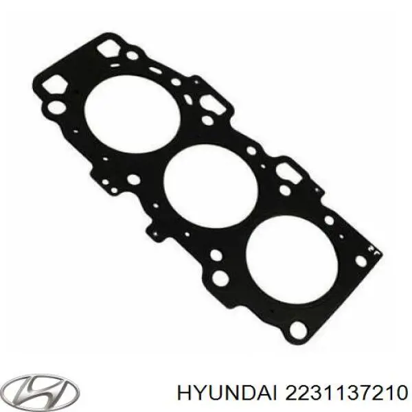  2231137210 Hyundai/Kia