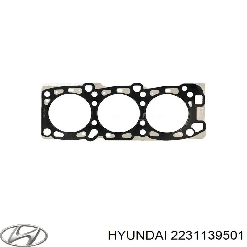 Купити 2231139501 Hyundai/Kia Прокладка головки блока циліндрів (ГБЦ), права