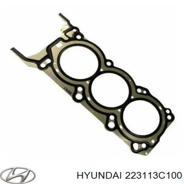 Прокладка головки блока циліндрів (ГБЦ), ліва Hyundai/Kia 223113C100 ціна, від 19.19 USD