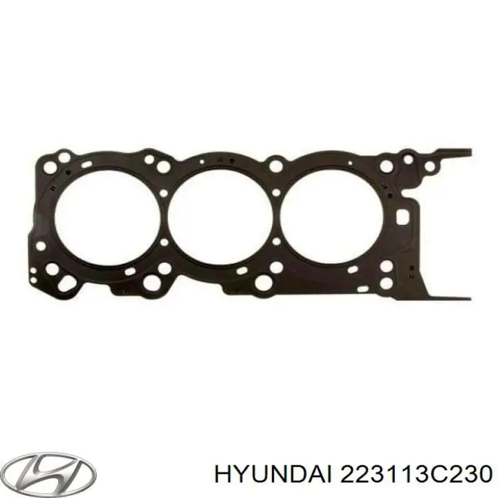 Прокладка головки блока циліндрів (ГБЦ), ліва Hyundai/Kia 223113C230 ціна, від 15.24 USD