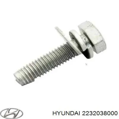 Болт головки блока циліндрів, ГБЦ Hyundai/Kia 2232038000 ціна, від 5.04 USD