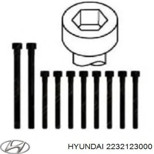 Болт головки блока циліндрів, ГБЦ Hyundai Trajet (FO) (Хендай Траджет)