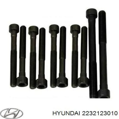 Болт головки блока циліндрів, ГБЦ Hyundai/Kia 2232123010 ціна, від 4.64 USD