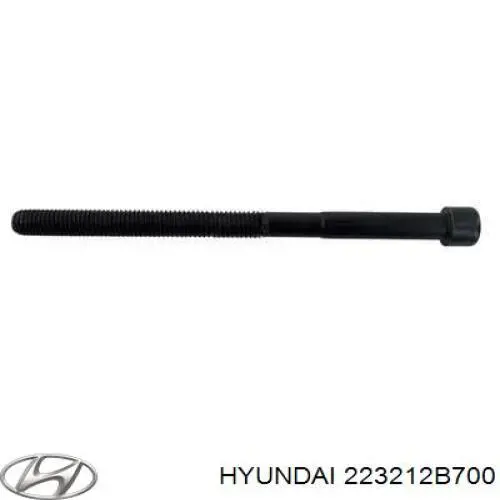 Болт головки блока циліндрів, ГБЦ Hyundai/Kia 223212B700 ціна, від 3.36 USD