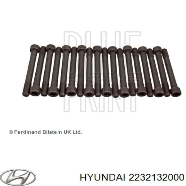 2232132000 Hyundai/Kia Болт кріплення головки блоку циліндрів