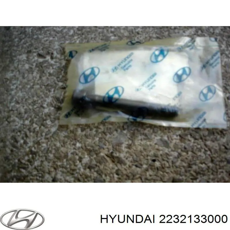 Болт головки блока циліндрів, ГБЦ Hyundai/Kia 2232133000 ціна, від 2.53 USD