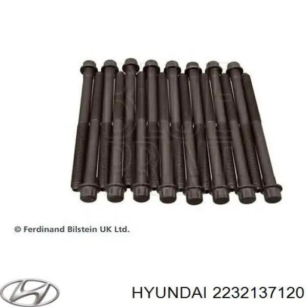 Болт головки блока циліндрів, ГБЦ Hyundai/Kia 2232137120 ціна, від 2.40 USD