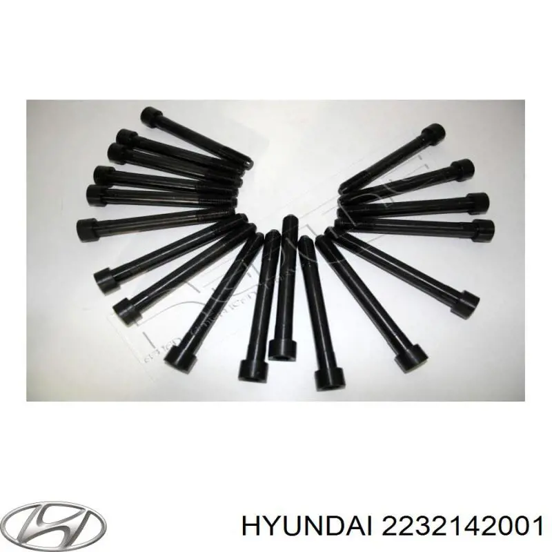 Болт головки блока циліндрів, ГБЦ Hyundai/Kia 2232142001 ціна, від 2.31 USD