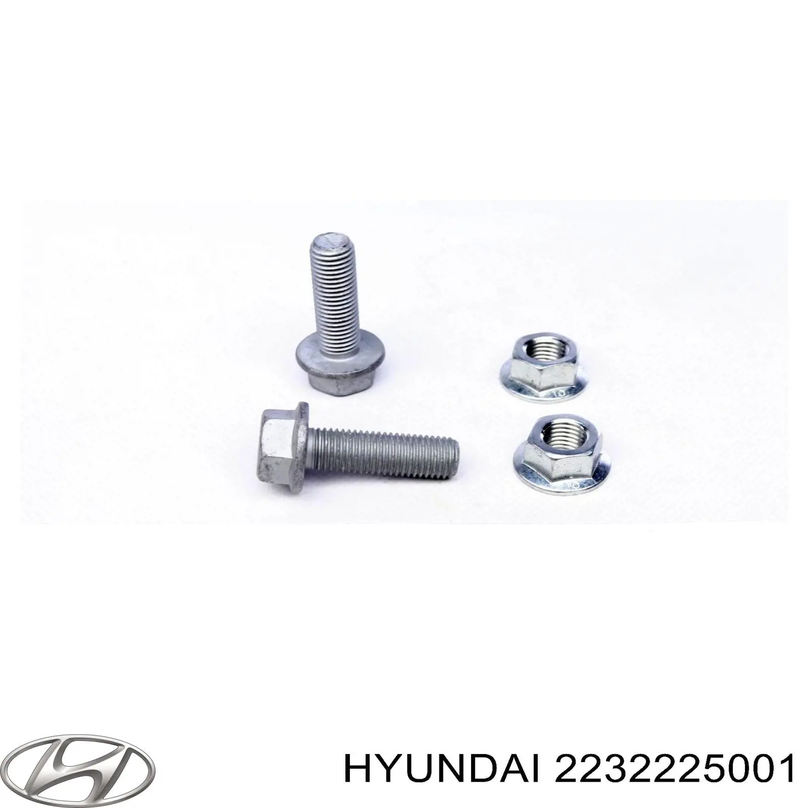 2232225001 Hyundai/Kia 