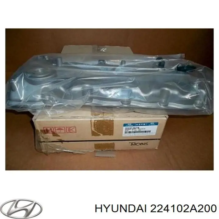 Кришка клапанна Hyundai/Kia 224102A200 ціна, від 55.25 USD