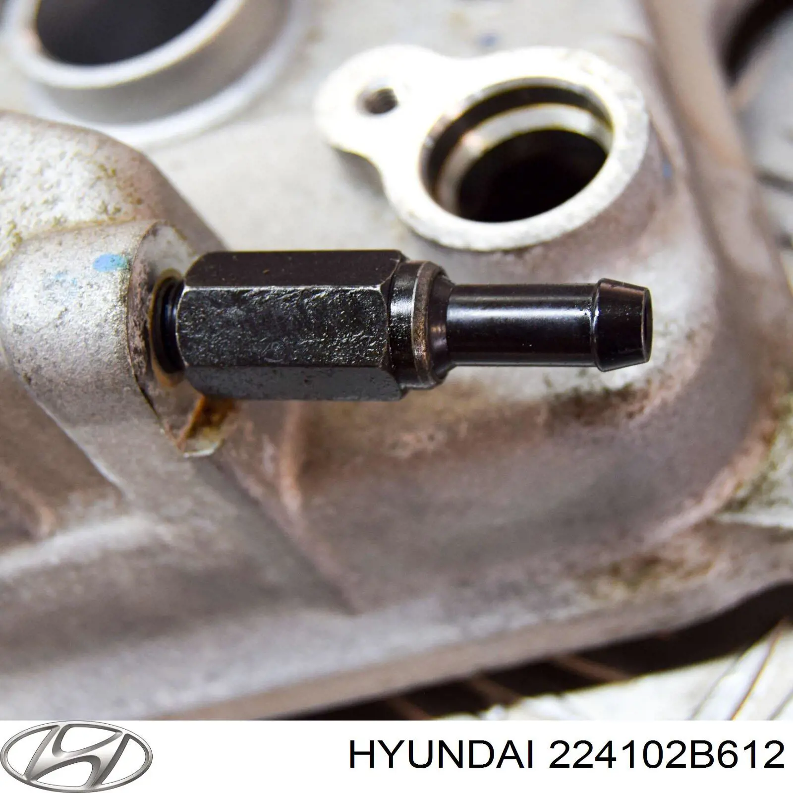 Клапанна кришка 224102B612 Hyundai/Kia