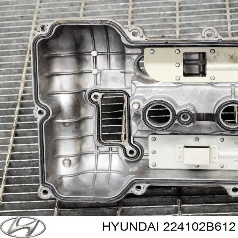 Кришка клапанів Hyundai/Kia 224102B612