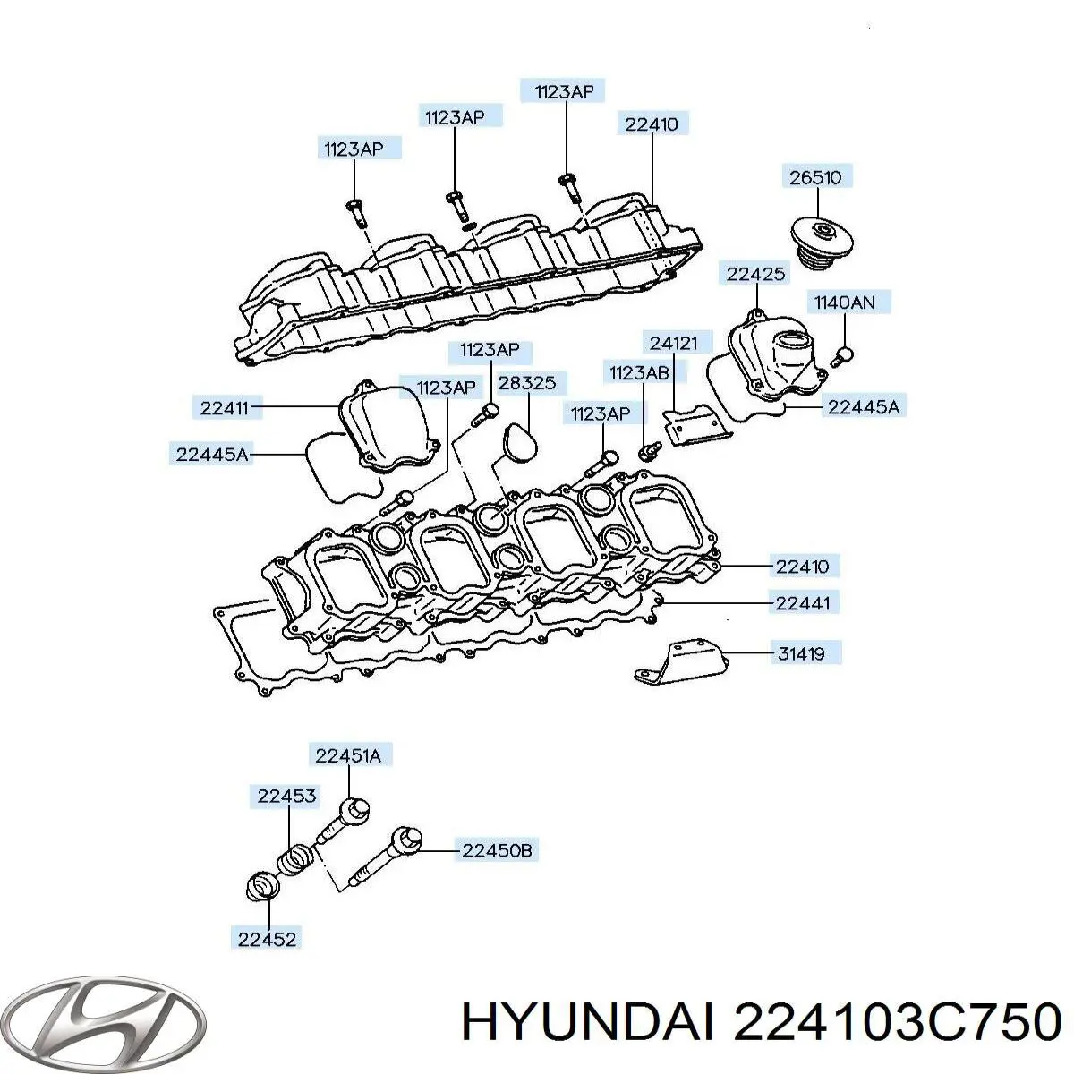 224103C750 Hyundai/Kia кришка клапанна, ліва