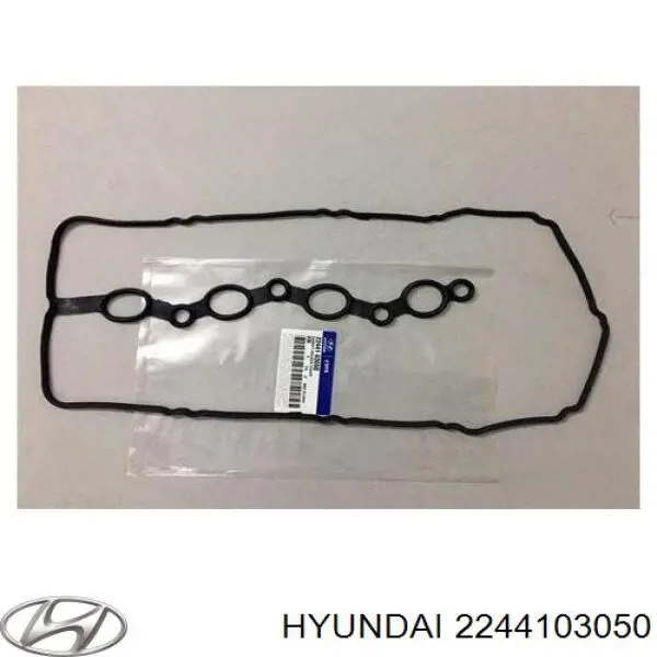 Прокладка клапанної кришки двигуна Hyundai I10 (PA) (Хендай Ай 10)