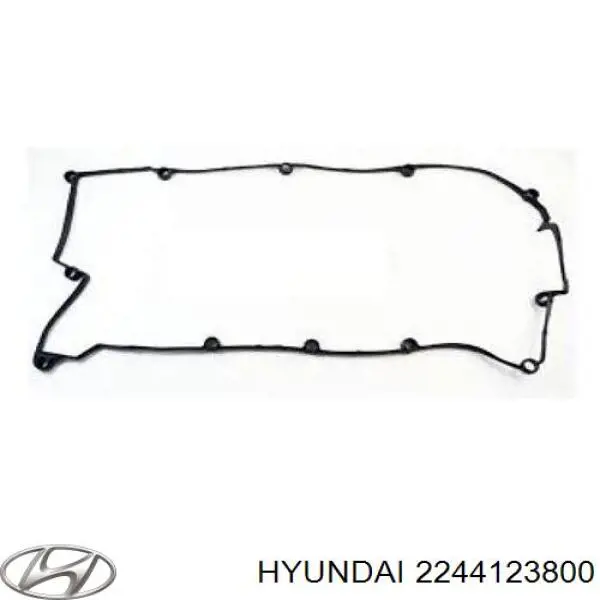 2244123800 Hyundai/Kia прокладка клапанної кришки двигуна