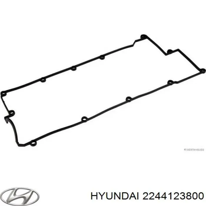 Купити 2244123800 Hyundai/Kia Прокладка клапанної кришки