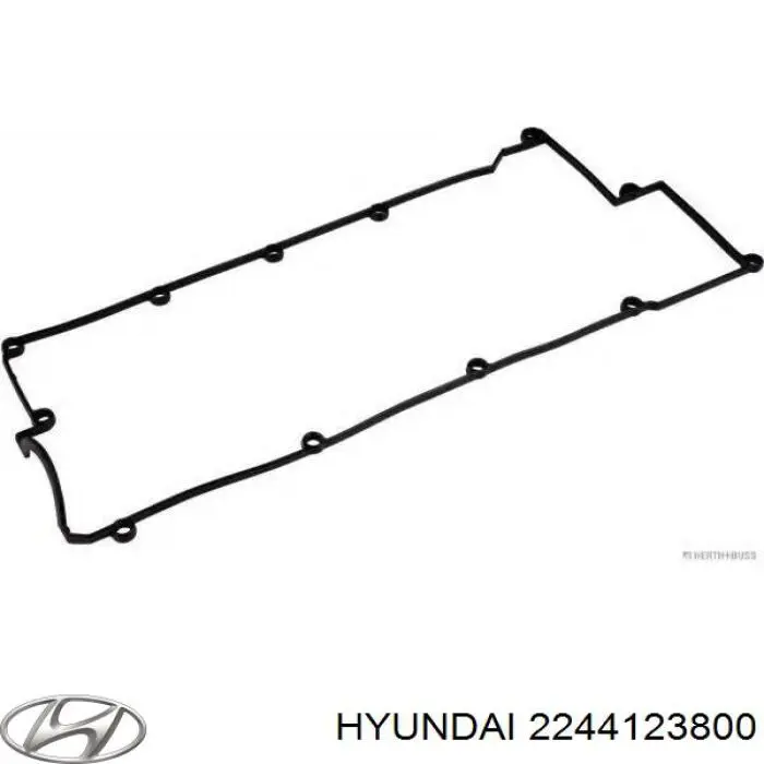 Прокладка клапанної кришки 2244123800 Hyundai/Kia