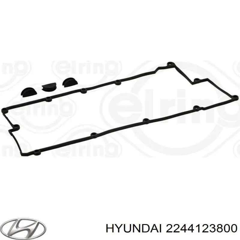 2244123800 Hyundai/Kia Прокладка кришки клапанної 