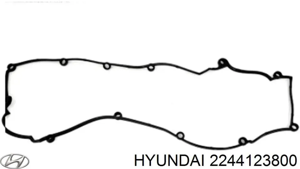 Прокладка клапанної кришки двигуна Hyundai/Kia 2244123800