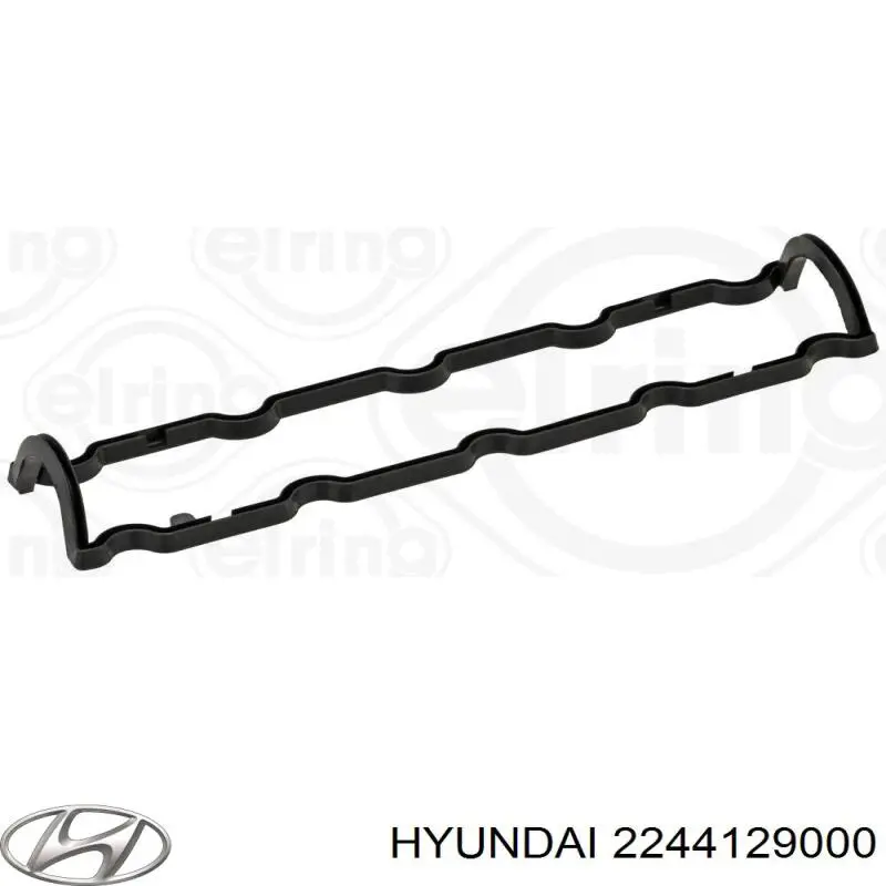  2244129000 Hyundai/Kia