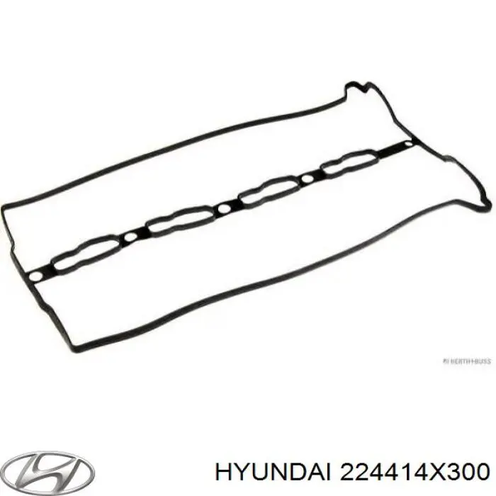 Прокладка клапанної кришки двигуна Hyundai/Kia 224414X300 ціна, від 13.45 USD