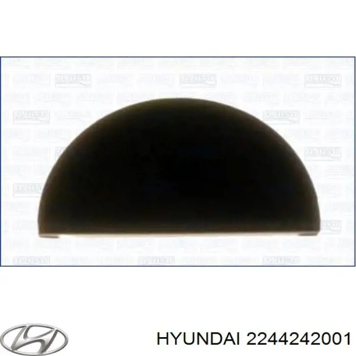 Купити 2244242001 Hyundai/Kia Прокладка клапанної кришки двигуна, задній сегмент