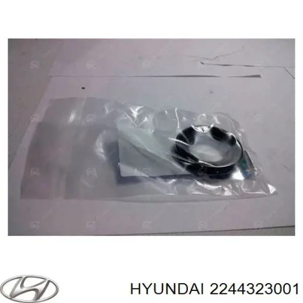 Кільце ущільнювальне свічкового колодязя Hyundai/Kia 2244323001 ціна, від 2.53 USD