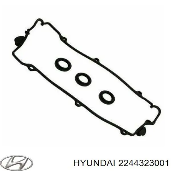 Кільце ущільнювальне свічкового колодязя 2244323001 Hyundai/Kia