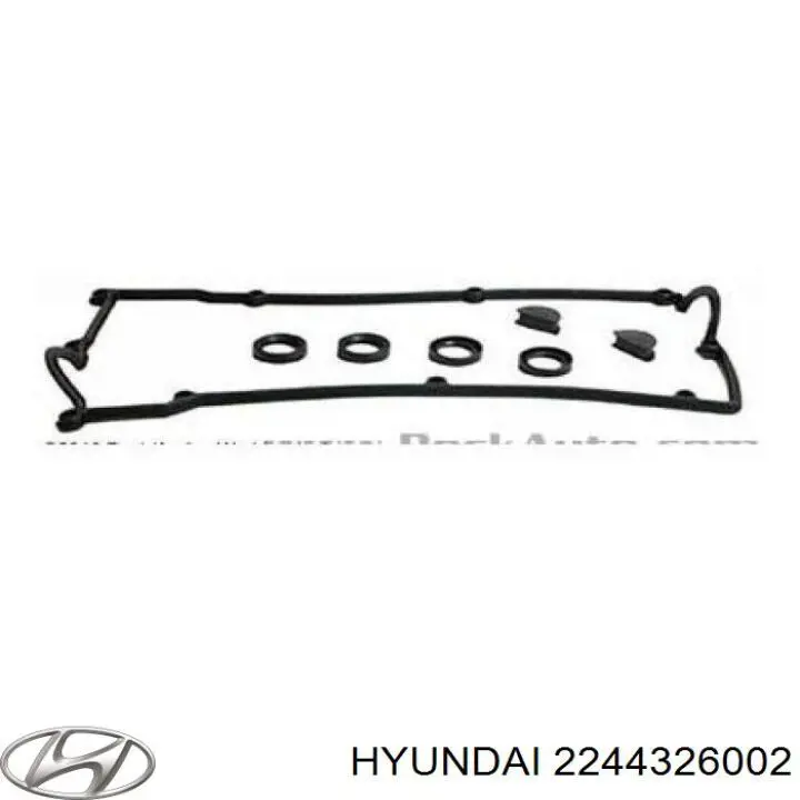 Кільце ущільнювальне свічкового колодязя Hyundai/Kia 2244326002 ціна, від 2.35 USD