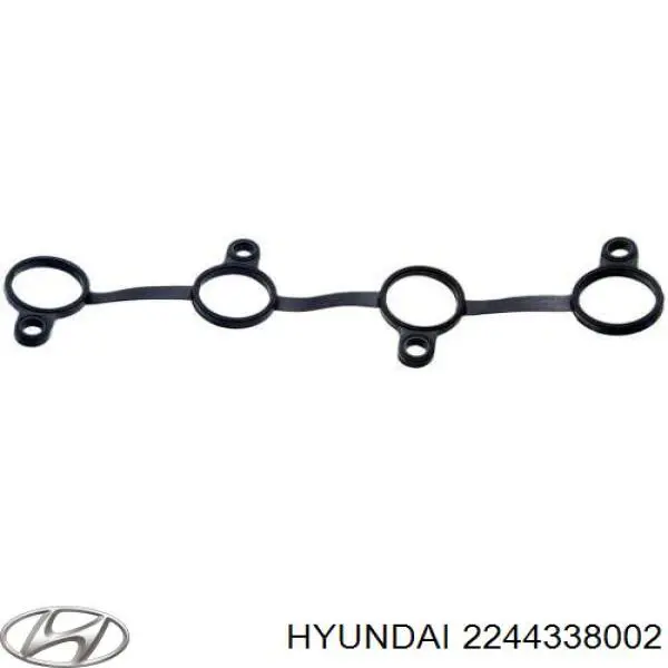 2244338002 Hyundai/Kia кільце ущільнювальне свічкового колодязя