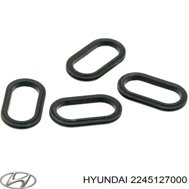 Кільце форсунки інжектора, посадочне Hyundai Santa Fe 2 (CM) (Хендай Санта фе)
