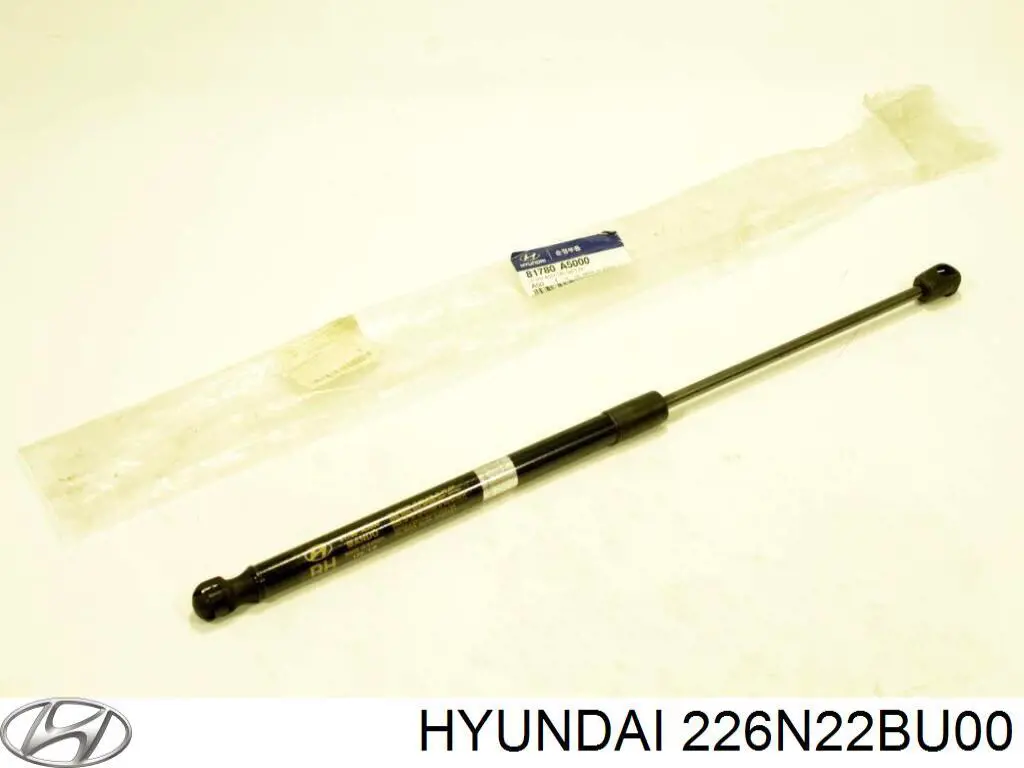  226N22BU00 Hyundai/Kia