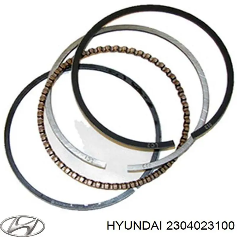 Купити 2304023100 Hyundai/Kia Маслоз'емні кільця, стандартні