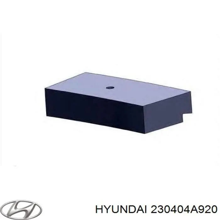 Купити 230404A920 Hyundai/Kia Маслоз'емні кільця, стандартні