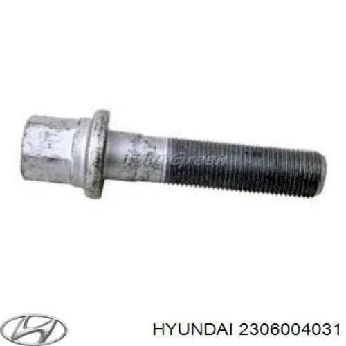 2306004031 Hyundai/Kia вкладиші колінвала, шатунні, комплект, стандарт (std)