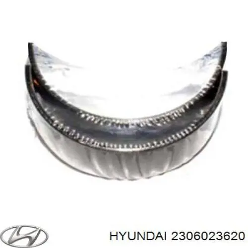 Шатунні вклалиші колінвала STD Hyundai/Kia 2306023620 ціна, від 31.51 USD