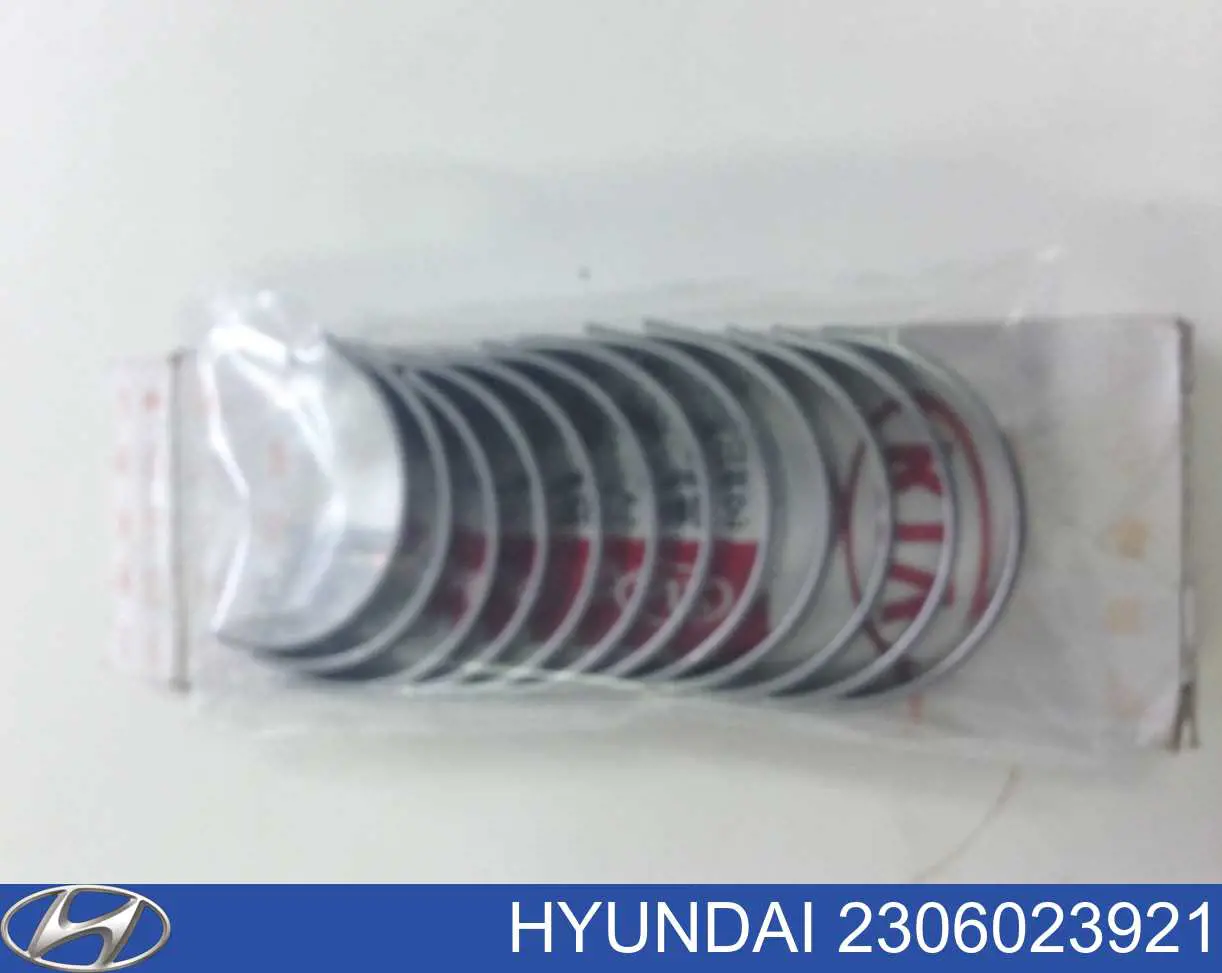 Вкладиші колінвала, шатунні, комплект, 1-й ремонт (+0,25) GMP 2306023921 ціна, від 15.55 USD