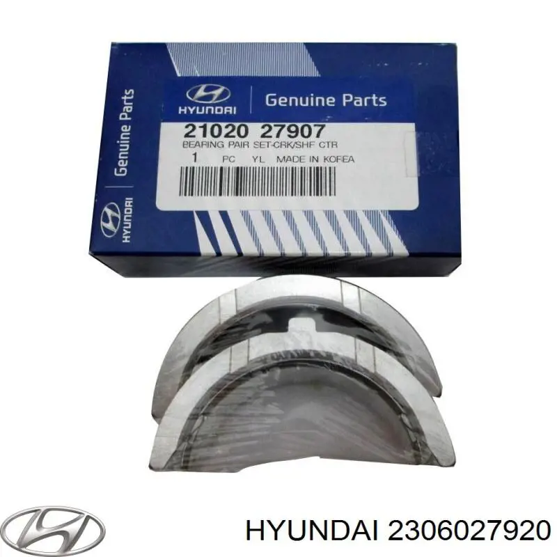 Купити Вкладиші шатунні Hyundai Matrix  FC