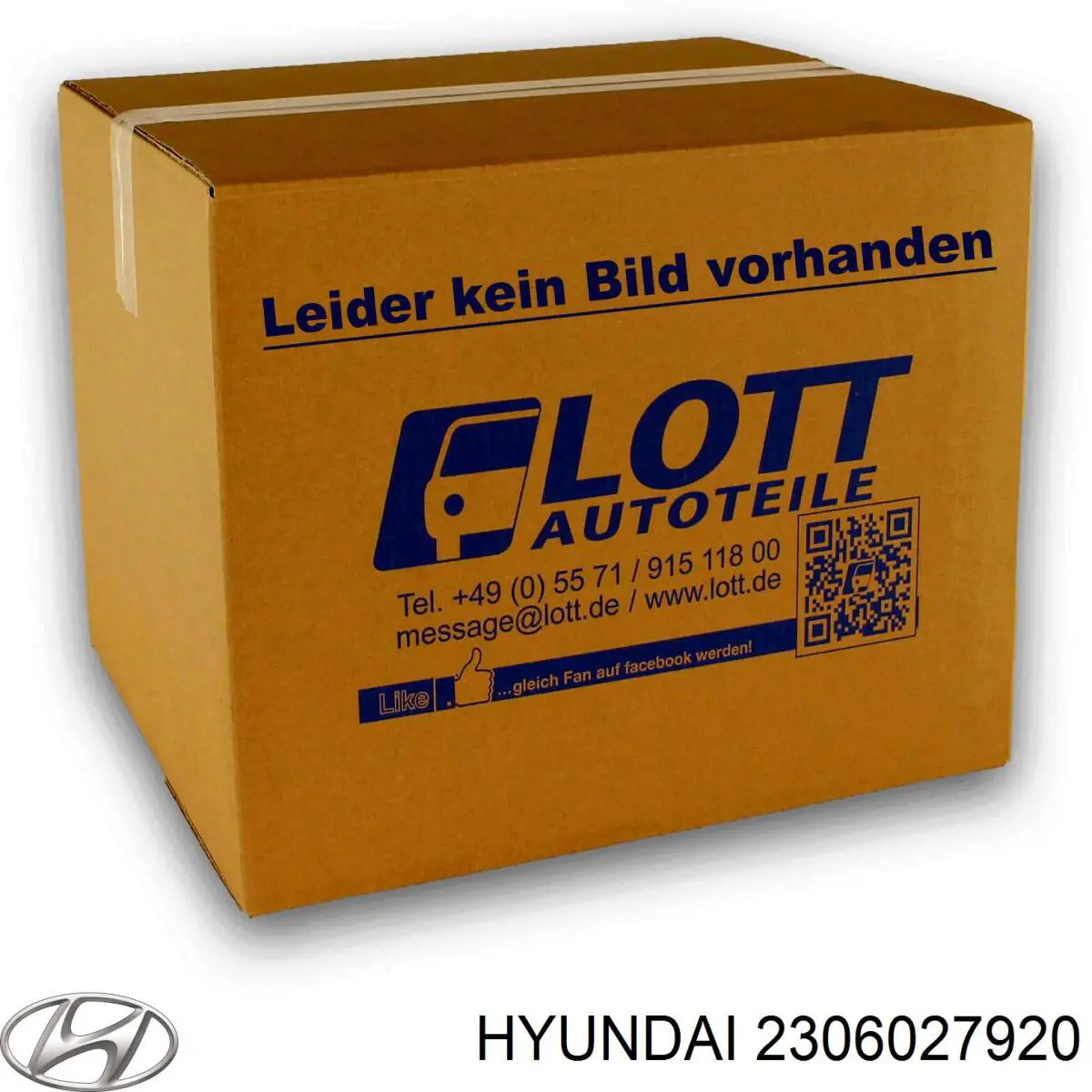 2306027920 Hyundai/Kia вкладиші колінвала, шатунні, комплект, стандарт (std)