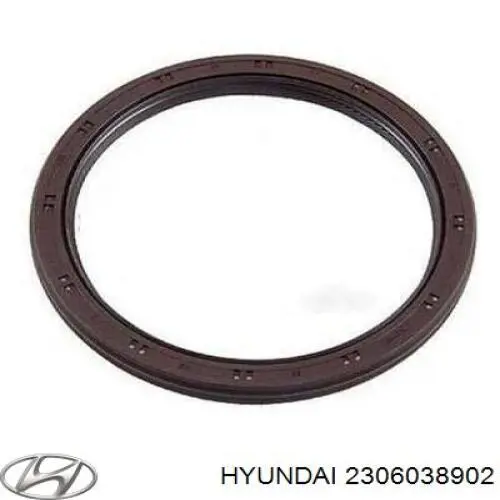 Вкладиші колінвала, шатунні, комплект, 1-й ремонт (+0,25) Hyundai/Kia 2306038900
