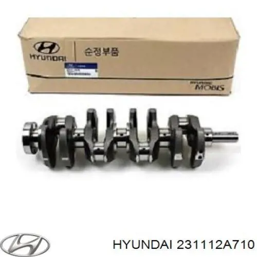 Колінчастий вал Hyundai/Kia 231112A710